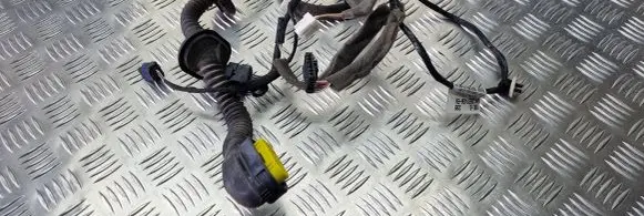 Renault Megane III Rear door wiring loom 289820002R 241269743R5N 1220090327