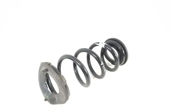 Rear coil spring