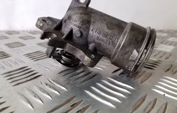 Thermostat/thermostat housing