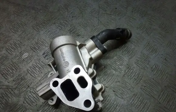 Fiat 500L EGR valve 55249455