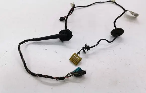 Rear door wiring loom