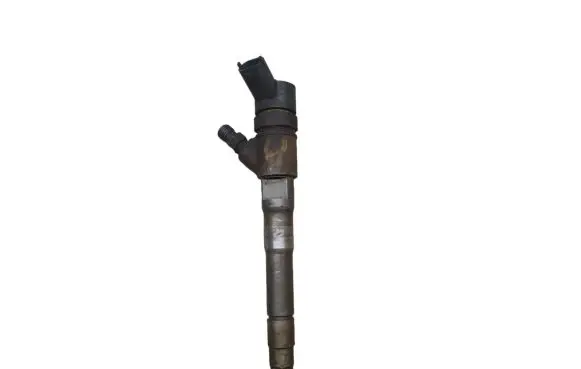 Fiat Ducato Fuel injector 0445110520 5801594342