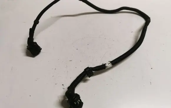 BMW X1 F48 F49 Other wiring loom