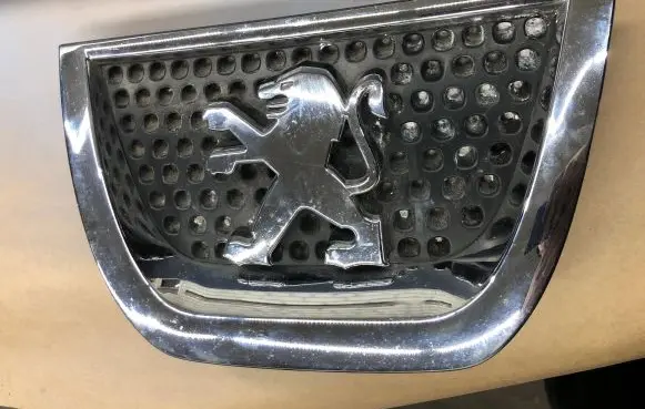 Peugeot 3008 I Front grill 9685973077