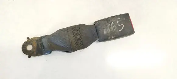 Middle seatbelt buckle (rear)