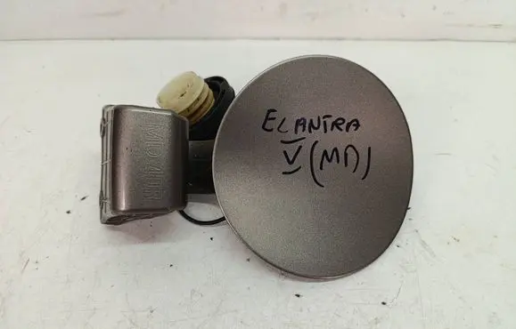 Hyundai Elantra Fuel tank cap 695113X000