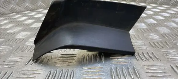 Rear/tail light trim molding