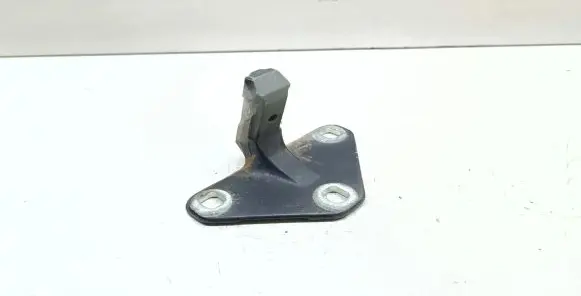BMW X5 E70 Tailgate hinge 