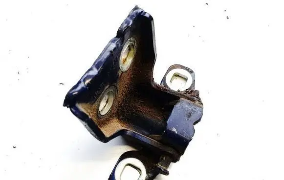 Dacia Logan I Rear door lower hinge