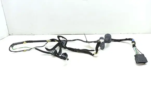 Renault Trafic III (X82) Front door wiring loom 241252495R 93460094