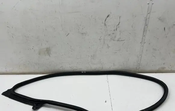 Porsche Taycan 9J1 Front door rubber seal 