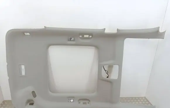 Opel Zafira C Headlining 20918838 13242355