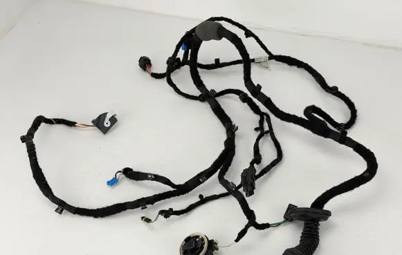 BMW i4 Front door wiring loom 5A4DD60 A00029472FA053 11107811