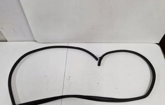 Chevrolet Captiva Rubber seal front door (on door) 