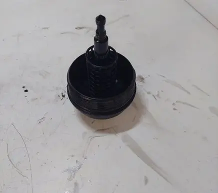 BMW 5 E39 Oil filter cover 1744000