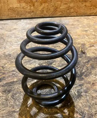 Rear coil spring