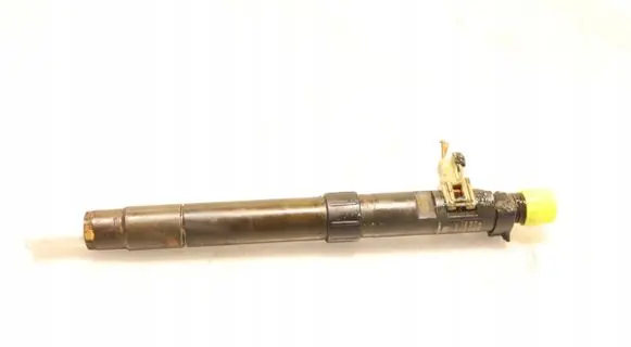 Ford C-MAX II Fuel injector EMBR00101D