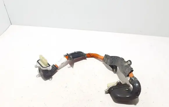 Other wiring loom