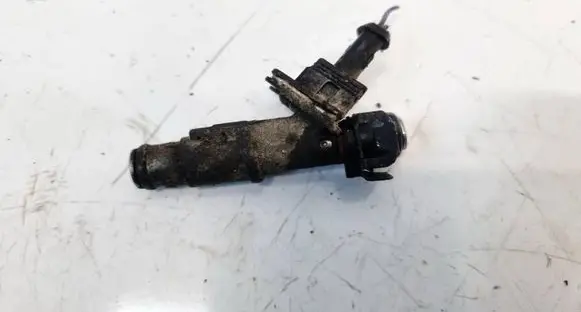 Peugeot 407 Fuel injector 01F004A