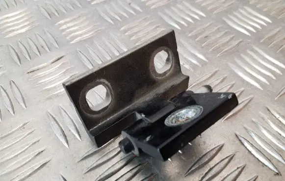 Volvo V70 Front door lower hinge 