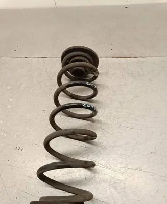 Rear coil spring