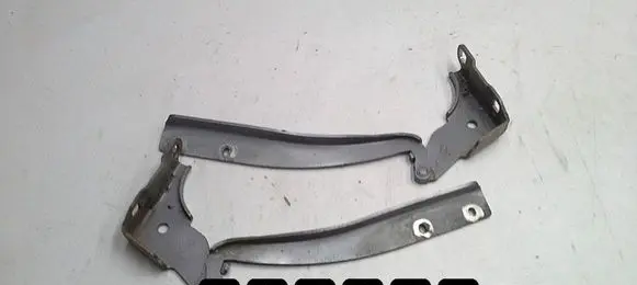 Fiat Punto (188) Engine bonnet/hood hinges