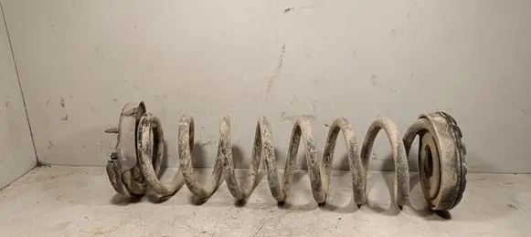 Ford Kuga II Rear coil spring