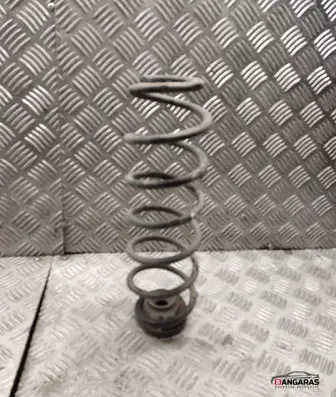 Rear coil spring
