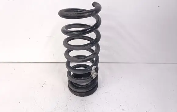 Rear coil spring
