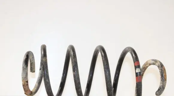 Volkswagen PASSAT B6 Front coil spring