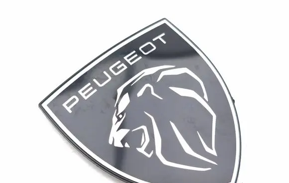 Peugeot 3008 III Other badges/marks 9852892380