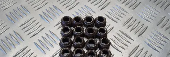 Ford Focus Nuts/bolts 