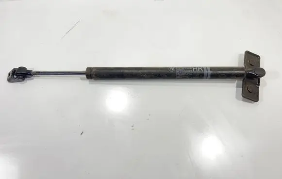 BMW 7 F01 F02 F03 F04 Rear door check strap stopper 7191286