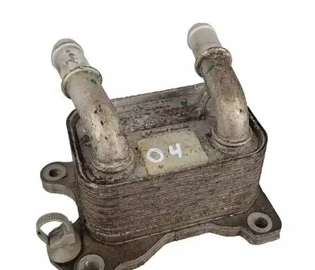 Nissan Juke I F15 Engine oil radiator 213052032R