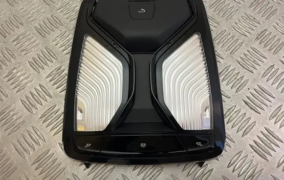 BMW 5 G30 G31 Front seat light 9890265 989026501