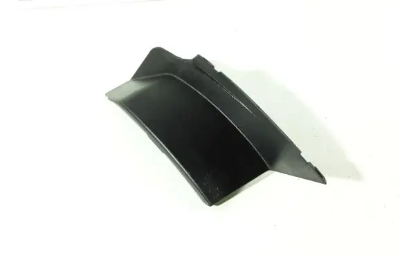 Rear/tail light trim molding