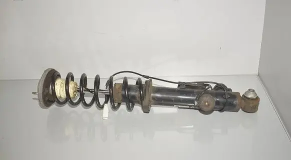 Rear shock absorber/damper