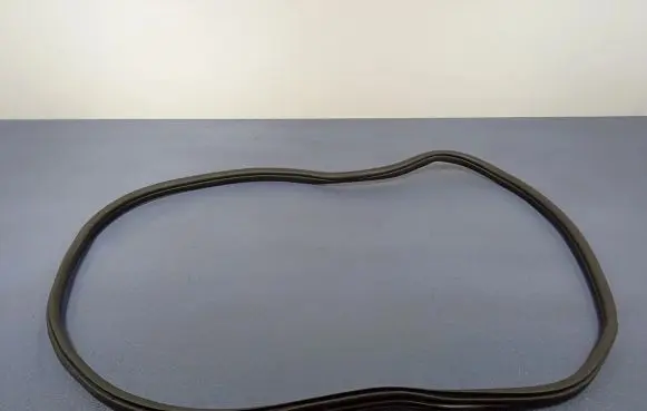 BMW 1 F40 Front door rubber seal 7452335