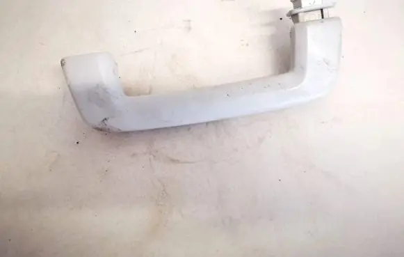 Ford Focus Front interior roof grab handle