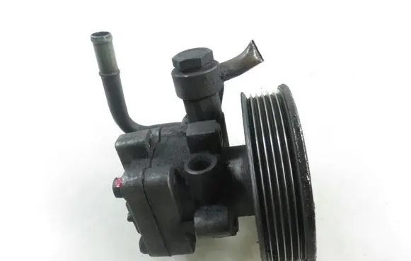 Hyundai Trajet Power steering pump 