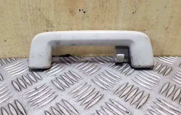 Ford Focus Rear interior roof grab handle
