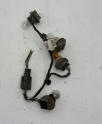 Tail light bulb cover holder