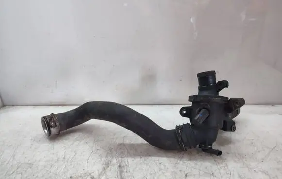 Thermostat/thermostat housing