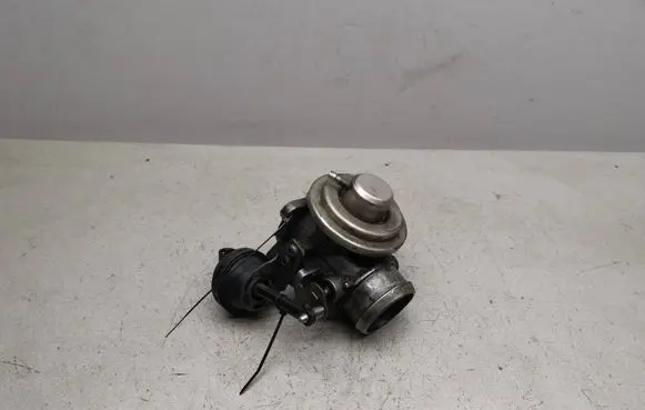 Volkswagen Golf IV EGR valve 038131501E