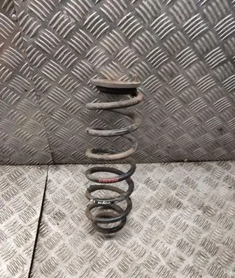 Volkswagen PASSAT B7 Rear coil spring