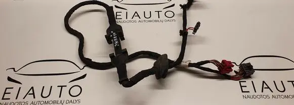 Rear door wiring loom