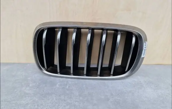 BMW X5 F15 Front grill 51137349387