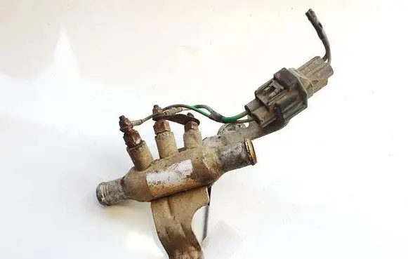 Ford Focus Engine coolant pipe/hose