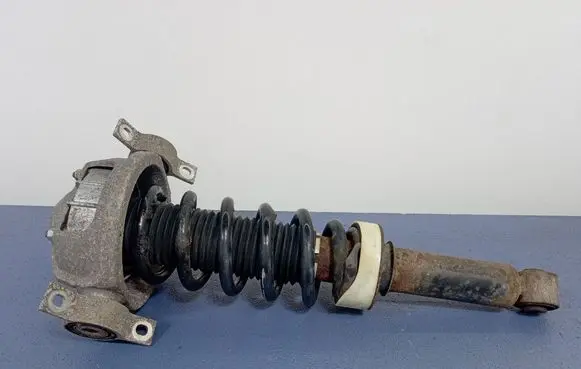 Porsche Cayenne (9PA) Rear shock absorber/damper 7L5513029G
