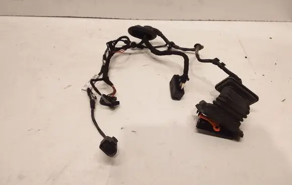 Rear door wiring loom